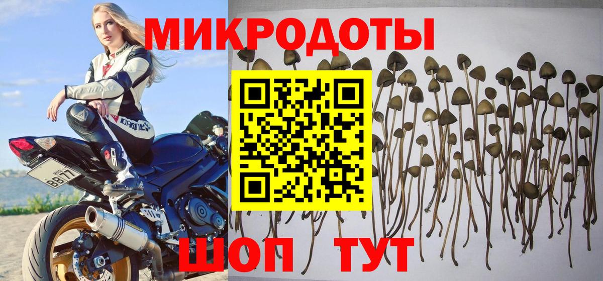 Псилоцибиновые грибы Psilocybine cubensis  Вход с VPN  Гай 
